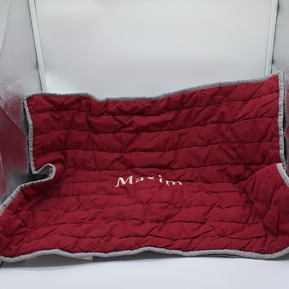 Pottery Barn Kids Standard Quilted Pillow Sham Monogrammed Maxim 20” x 26” - Picture 9 of 10